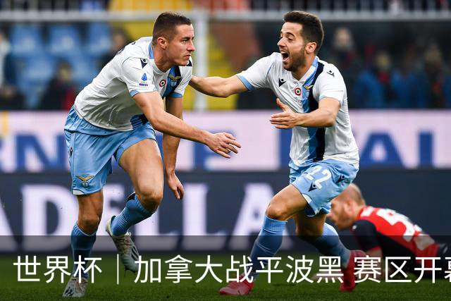世界杯｜加拿大战平波黑 赛区开幕式表演“翻车”
